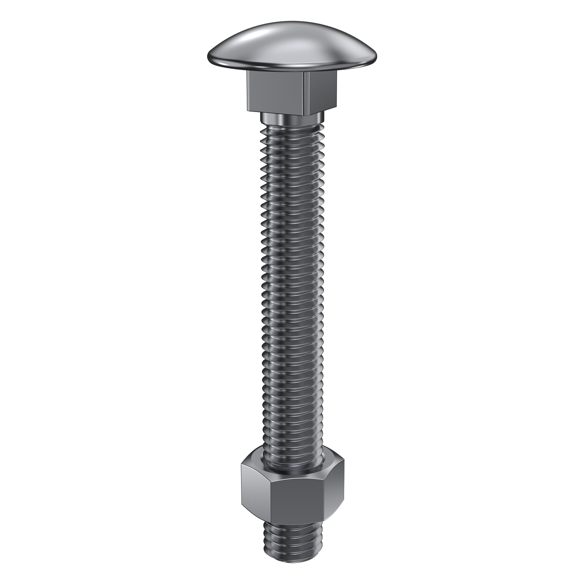 Coach Bolt & Nut - 316 S/Steel