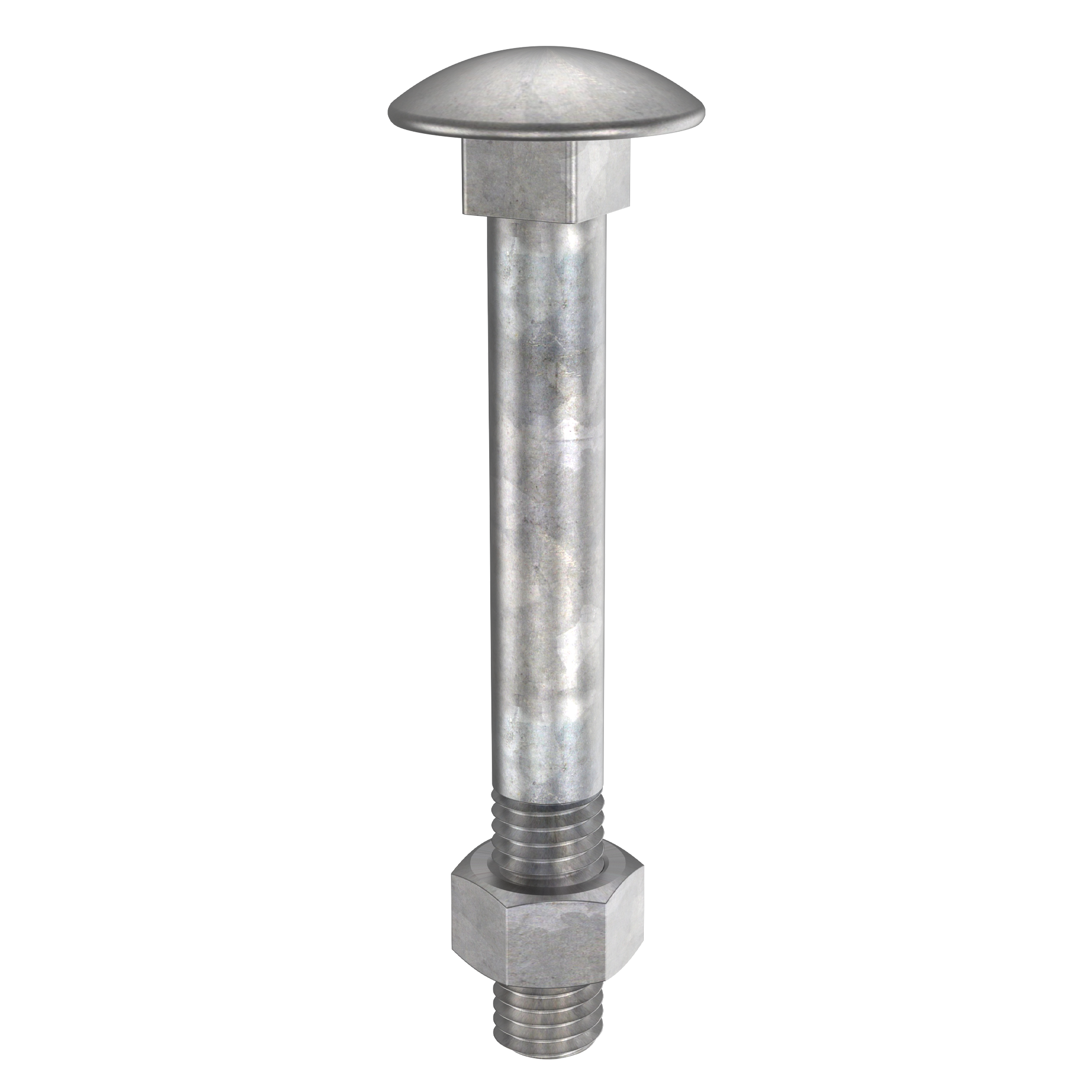 Coach Bolt & Nut - HD Galvanised