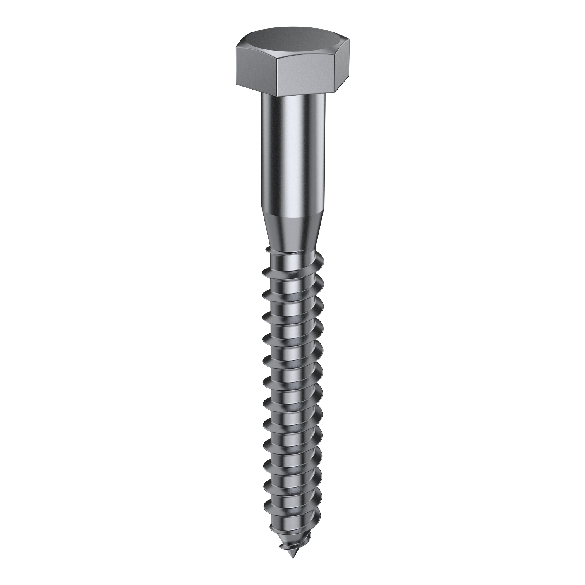 Coach Screw - 316 S/Steel