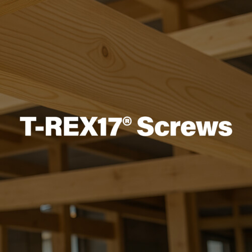 T-REX17® Screws